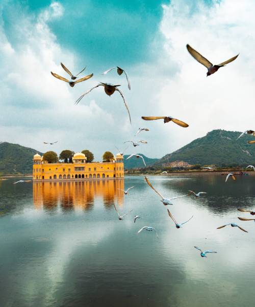 jaipur